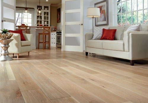 Dark Wood Floor In Transitional Living Room
